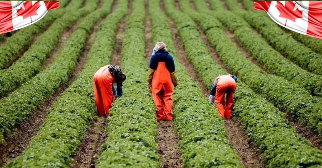 General Farm Worker Jobs In Canada